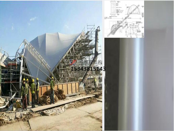 上海迪斯尼膜結(jié)構(gòu)景觀(guān)